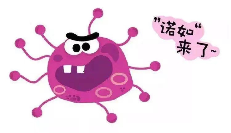 5d6753754bb9b6c1e9816362bcdd04e