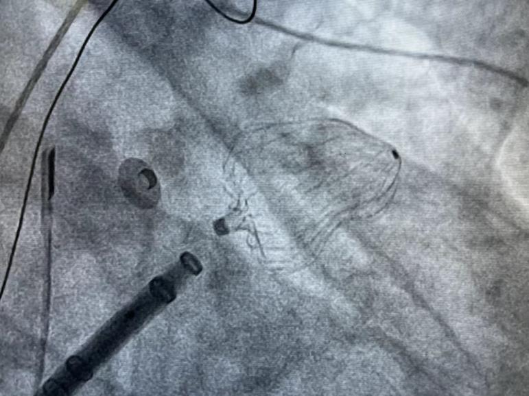 4fee4ad51be68b7039640fe4352a375